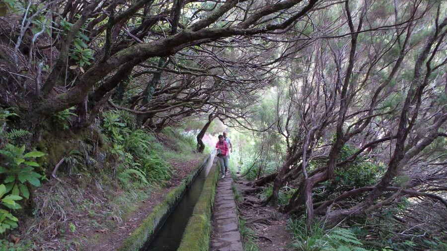 Madeira: Rabaçal 25 Fountains Levada Walk & Cabo Girão - Madalena do Mar scenic drive before Cabo Girão