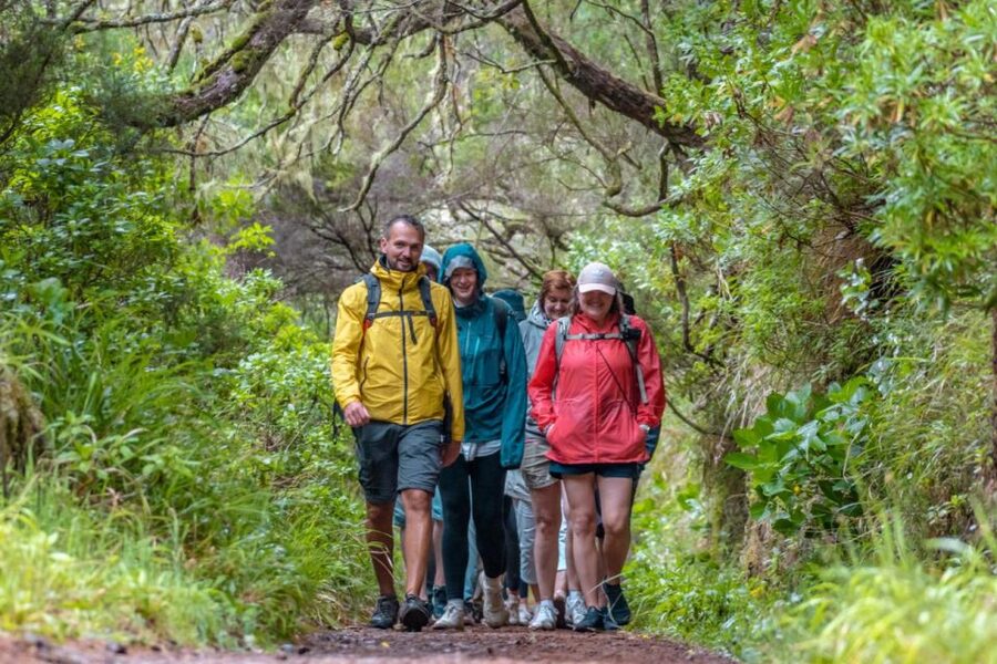 Madeira: Rabaçal 25 Fountains Levada Walk & Cabo Girão - Guide quality and small-group pacing (and why it matters here)