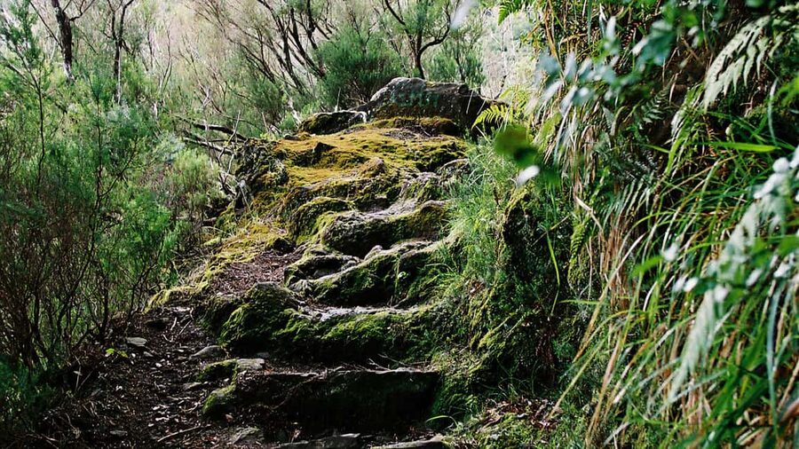 Madeira Rabaçal: Lakes & Fountains Nature Walk - North Coast Views and Village Outlooks: The Scenery Breaks