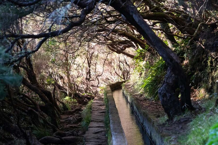 Madeira Rabaçal: Lakes & Fountains Nature Walk - Price and Value: Is $68 Worth It?
