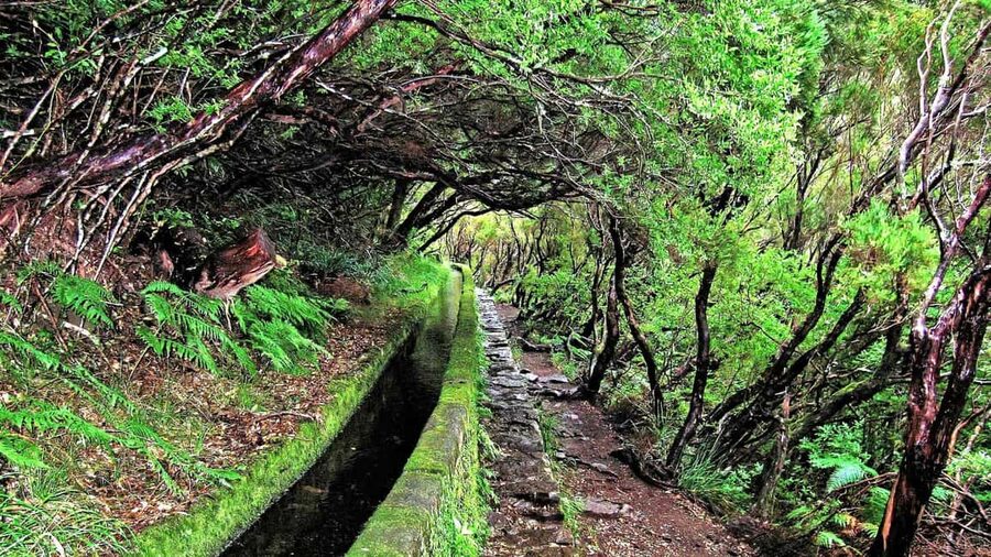 Madeira Rabaçal: Lakes & Fountains Nature Walk - Who This Tour Suits Best (and Who Should Skip It)