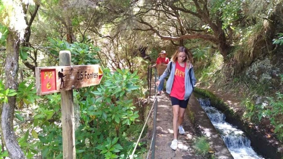 Madeira: Rabaçal, Risco and 25 Fontes Guided Hiking Tour - From pickup points to Paúl da Serra: how the day starts