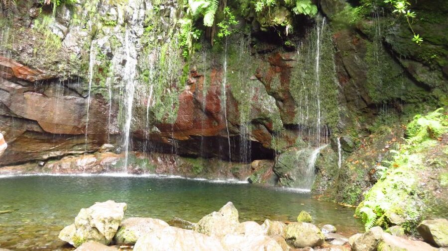 Madeira: Rabaçal, Risco and 25 Fontes Guided Hiking Tour - Levada do Risco: waterfall first, then a forest walk that feels alive
