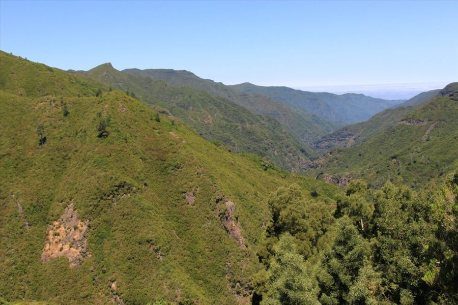 Madeira: Rabaçal, Risco and 25 Fontes Guided Hiking Tour - Walking rules at 25 Fontes: steps, one-way flow, and smart toilet timing