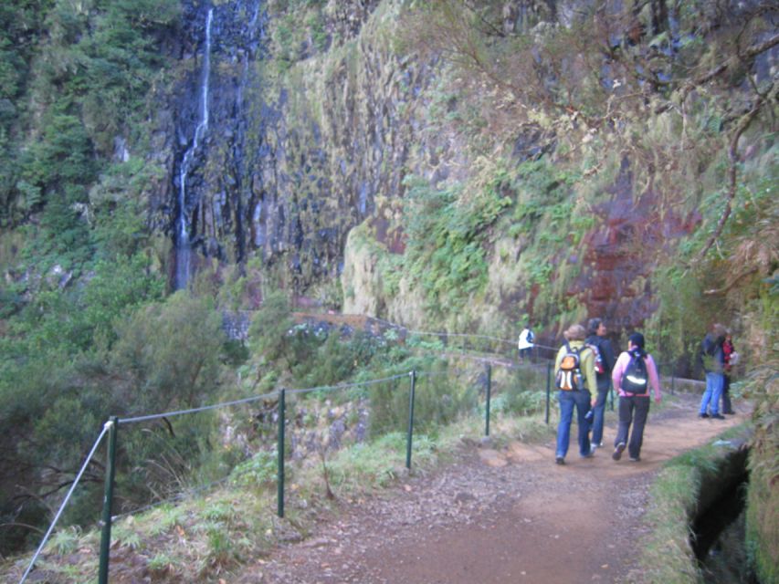 Madeira: Rabaçal, Risco and 25 Fontes Guided Hiking Tour - What the guides do (and why names like Magno, Leonel, Lionel, and Oscar keep coming up)