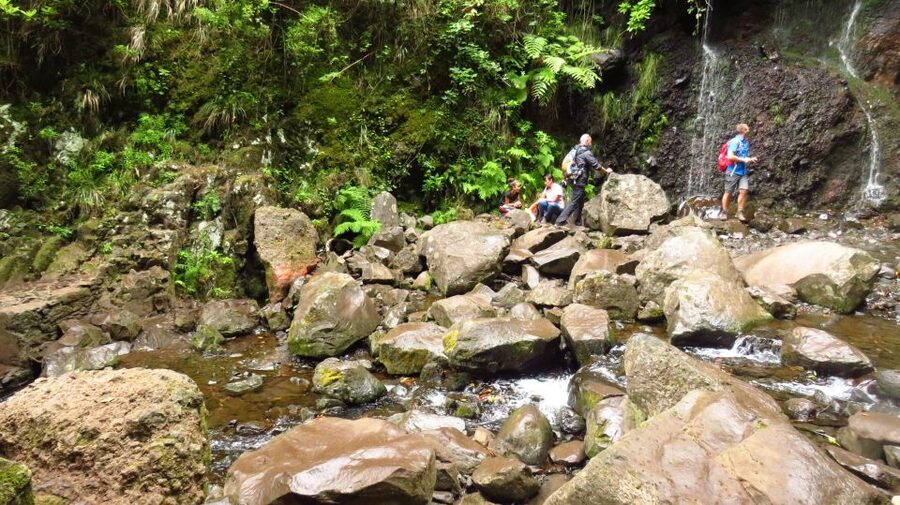 Madeira: Rabaçal, Risco and 25 Fontes Guided Hiking Tour - Logistics that actually affect your day: group size and timing