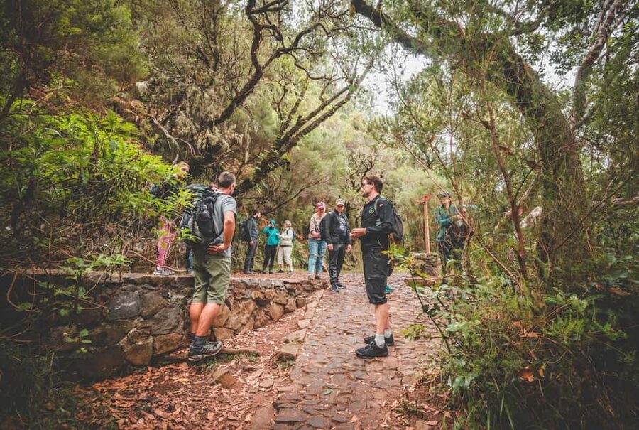 Madeira: Rabaçal Valley and the 25 Fountains Hike - Pickup To Rabaçal: The Day Starts Smooth (Or Tries To)