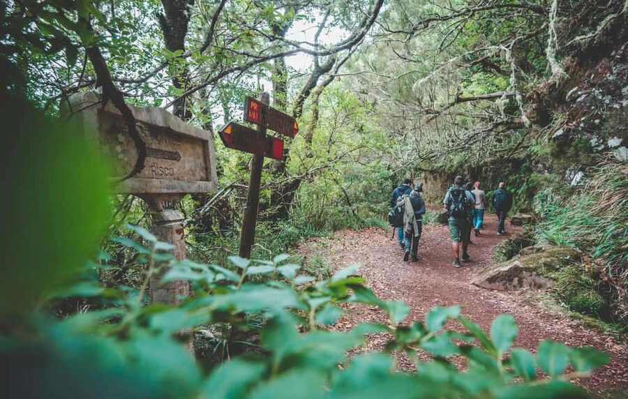 Madeira: Rabaçal Valley and the 25 Fountains Hike - Risco Waterfall Detour: A Short Side Trip With Big Rewards