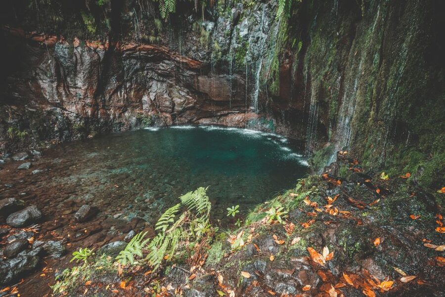 Madeira: Rabaçal Valley and the 25 Fountains Hike - Lagoa das 25 Fontes: Worth It, Even If It’s Busy