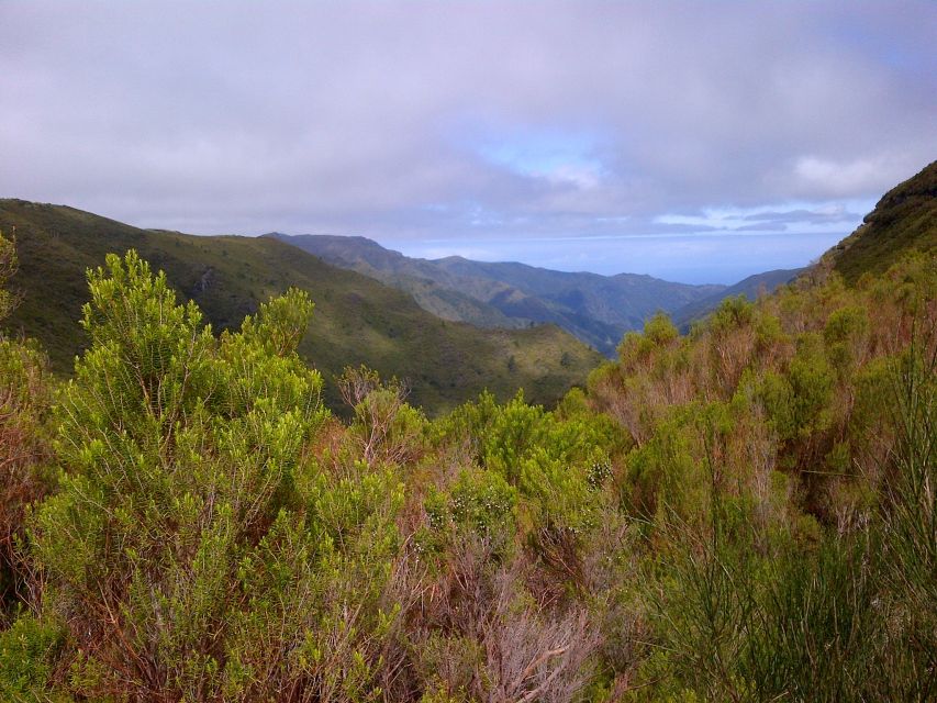 Madeira: Rabaçal Valleys 3-Hour Guided Walk - Key Highlights to Expect