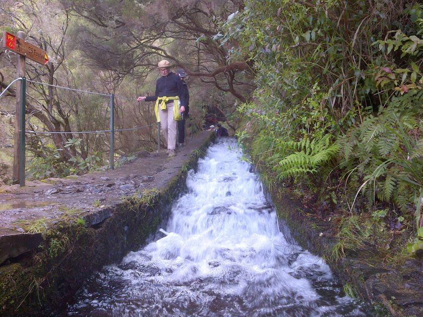 Madeira: Rabaçal Valleys 3-Hour Guided Walk - Why the Rabaçal Levadas Are Worth Your Shoes