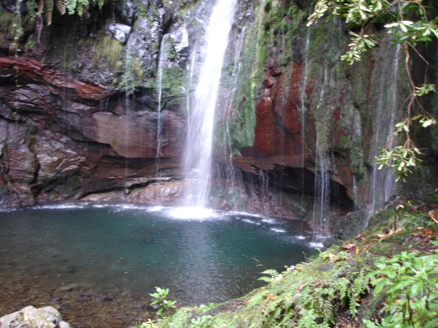 Madeira: Rabaçal Valleys 3-Hour Guided Walk - Laurisilva Forest: What You’ll Notice Once the Trail Starts