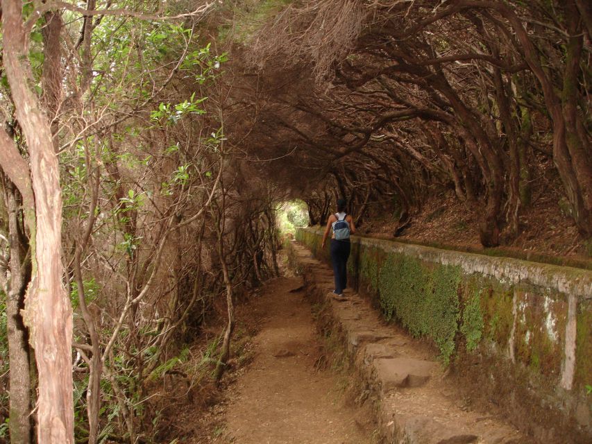 Madeira: Rabaçal Valleys 3-Hour Guided Walk - Price and Value: Is $48 a Good Deal?