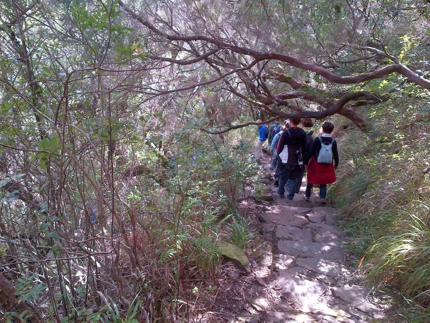 Madeira: Rabaçal Valleys 3-Hour Guided Walk - What the Tour Includes (and What It Doesn’t)