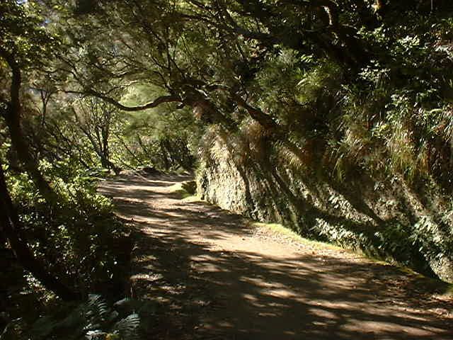 Madeira: Rabaçal Valleys 3-Hour Guided Walk - Who Should Book This Walk—and Who Should Skip It