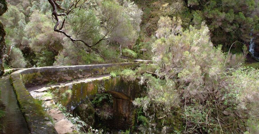 Madeira: Rabaçal Valleys 3-Hour Guided Walk - From Funchal, Caniço, or Calheta: Getting There Without Drama