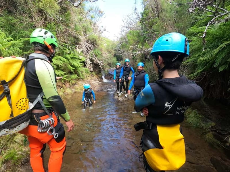 Madeira : Ribeira das Cales Canyoning (Level 1) - Key highlights at a glance