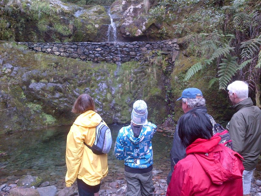 Madeira: Ribeiro Frio to Portela 4-Hour Guided Walk - Levada walking tips: trout chances and steady footing