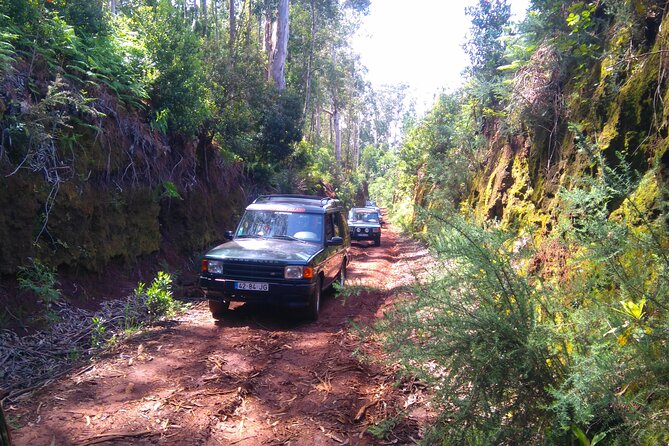 Madeira Safari - East of the island - Entering the Day on an Open-Roof 4x4