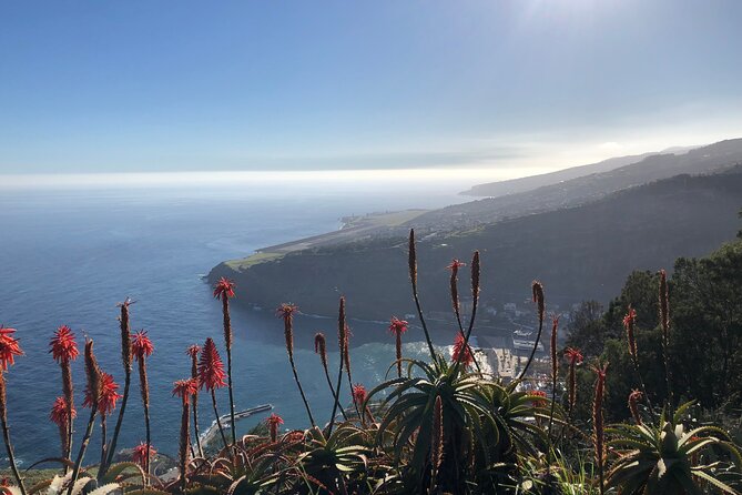 Madeira Safari - East of the island - Should You Book Madeira Safari East of the Island?