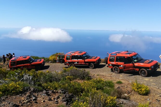 Madeira Safari - West Of The Island - The guide factor: humor, safety on roads, and real Madeira talk