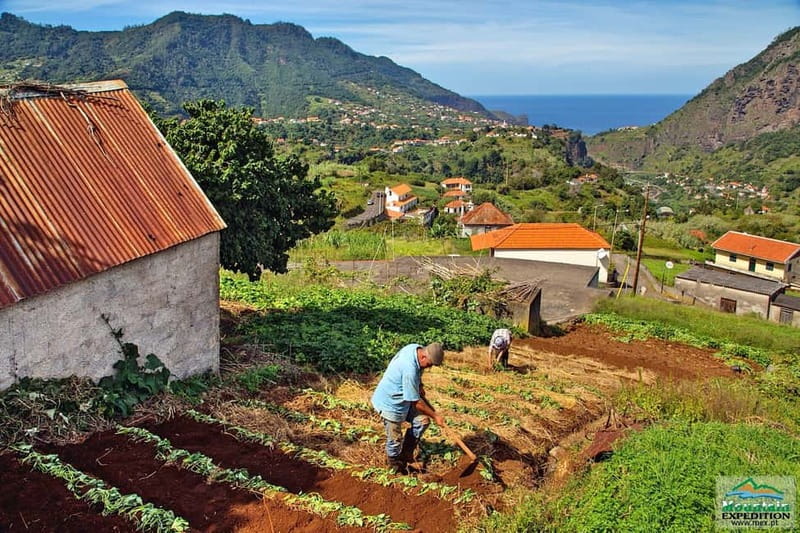 Madeira: Santana Jeep Safari and Referta Levada Walk - Ponta de São Lourenço: the driest, windiest finale with cliff views
