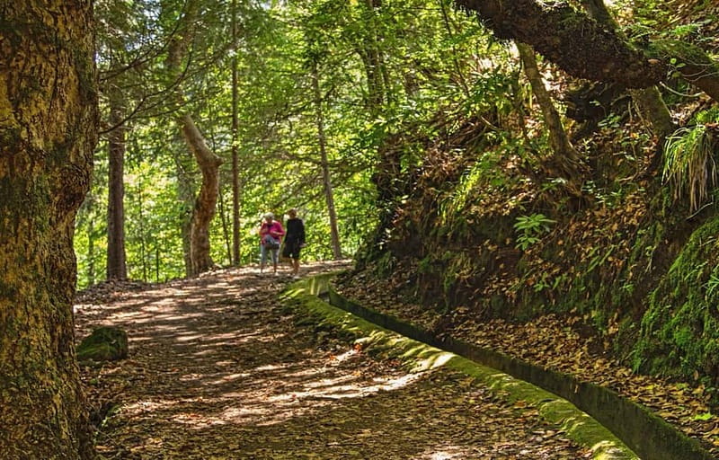 Madeira: Santana Jeep Safari and Referta Levada Walk - What the 8-hour schedule feels like in real life
