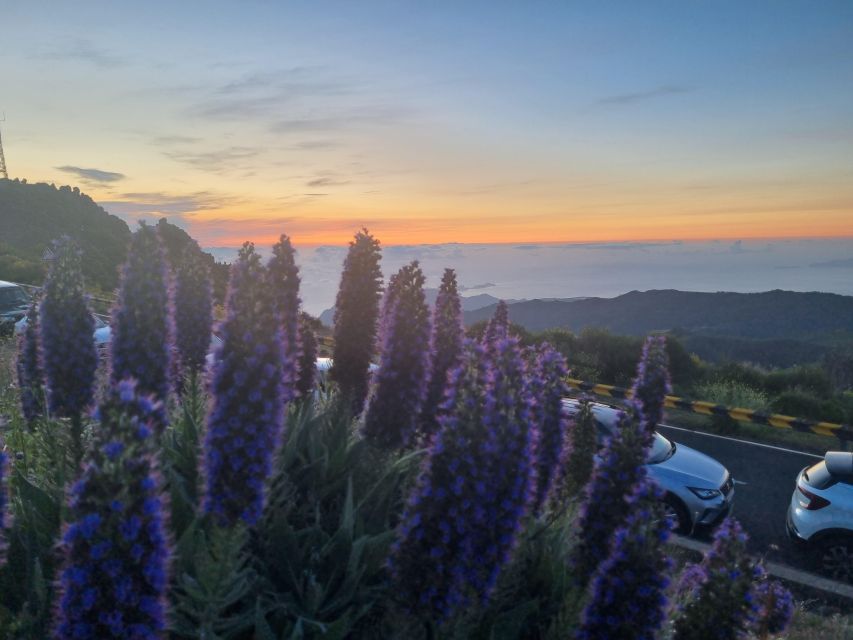 Madeira : Santana, Pico Arieiro, walk full day 4x4 Jeep tour - Pico do Arieiro: the high point stop you’ll talk about
