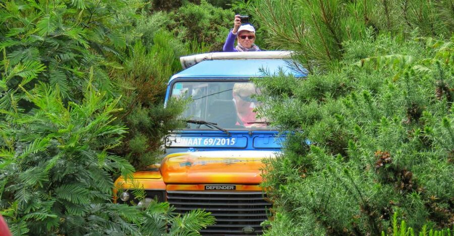 Madeira : Santo de Serra Local Farmers' Market half day trip - Key things that make this tour work