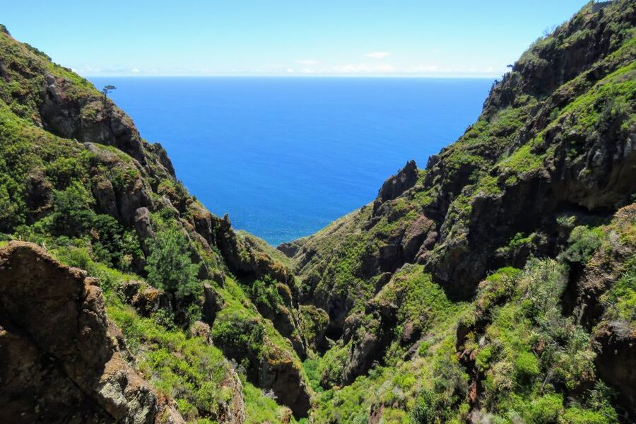 Madeira : Santo de Serra Local Farmers' Market half day trip - What to bring: the small things that make a big difference