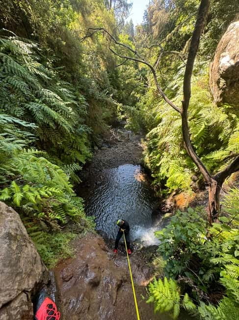 Madeira Short Canyoning For Beginners Rochão Level 1 - Key things you’ll notice on Rochão Level 1