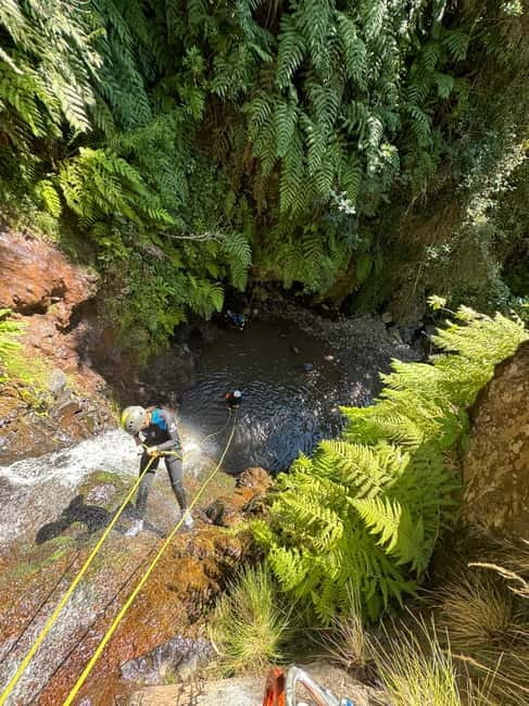 Madeira Short Canyoning For Beginners Rochão Level 1 - Why Rochão Canyoning feels like the smart Madeira first step