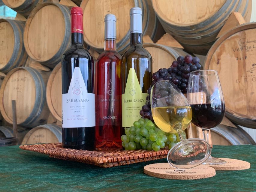 Madeira: Signature Wine Tasting, Skywalk & Nature Expedition - Off-roading to São Vicente: the north coast from the driver’s seat