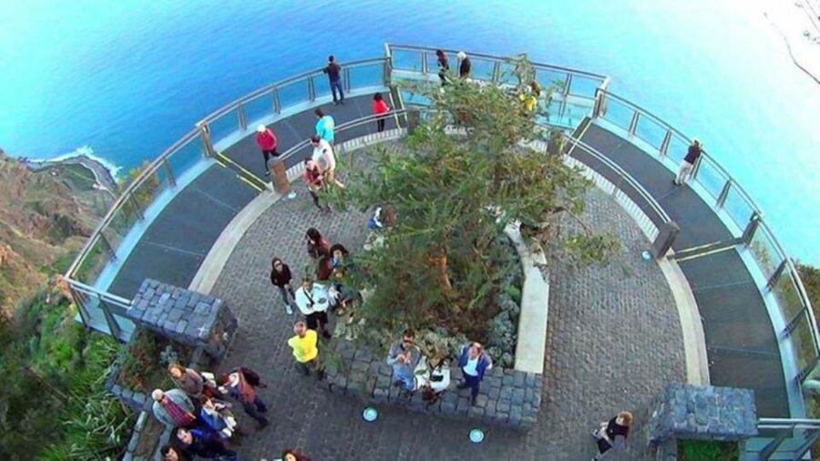 Madeira: Signature Wine Tasting, Skywalk & Nature Expedition - Mel da Laurissilva Honey Museum: sustainable honey with hands-on context
