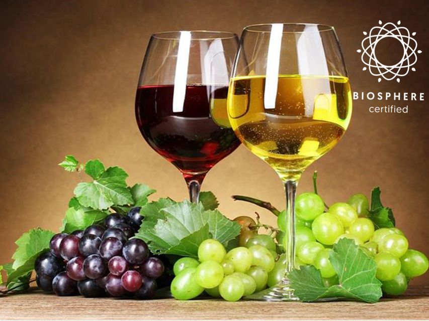 Madeira: Signature Wine Tasting, Skywalk & Nature Expedition - São Vicente lunch break: good timing, but budget for food