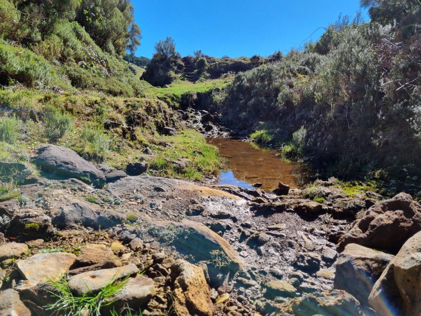 Madeira : SkyWalk, Fanal, Natural Pools 4x4 Jeep Tour - Campanário and Ponta do Sol: shorter stops that connect the dots