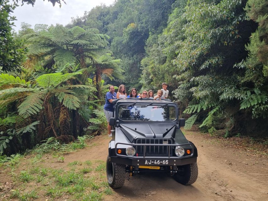 Madeira : SkyWalk, Fanal, Natural Pools 4x4 Jeep Tour - Fanal in Paúl da Serra: century-old trees and a guided walk you’ll remember