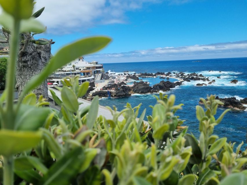 Madeira : SkyWalk, Fanal, Natural Pools 4x4 Jeep Tour - Agua d’Alto and the waterfall country: viewpoint time with real weather variety