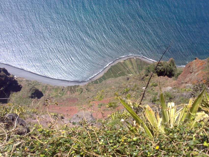 Madeira South West: Half Day Private Tour - Half-Day Focus: Getting Madeira’s South West Done Without the Hassle