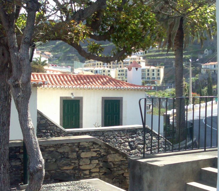 Madeira South West: Half Day Private Tour - Câmara de Lobos: Fishing Village Atmosphere and the Monk Seal Connection