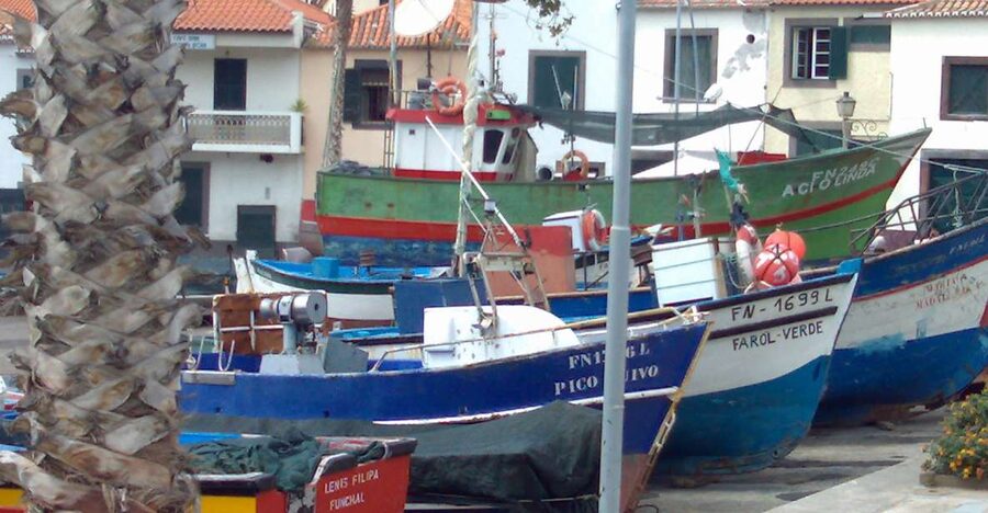 Madeira South West: Half Day Private Tour - Calheta: A Steep-Valley Town Stop That Breaks Up the Cliff Energy