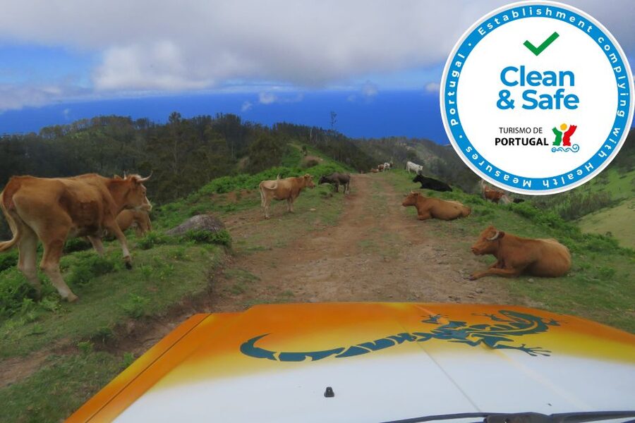 Madeira : Southwest coast, Run & Anjo´s Waterfall 4x4 Tour - Calheta Beach and Madalena do Mar: Seaside Breaks With Real Town Flavor