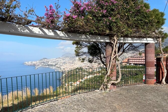 Madeira Special City Tuk Tuk Tour and Viewpoints by MadTuk - Mercado dos Lavradores: a taste of local daily life