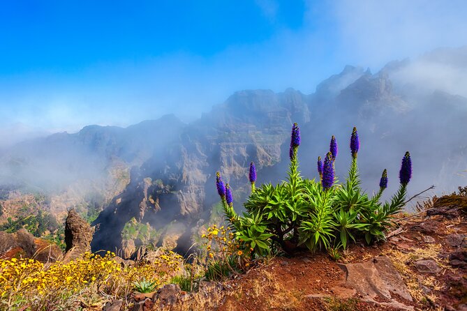 Madeira Stairway to Heaven to Larano Hike Mountain to Sea - Vereda do Larano hike: sea behind you, cliffs beside you