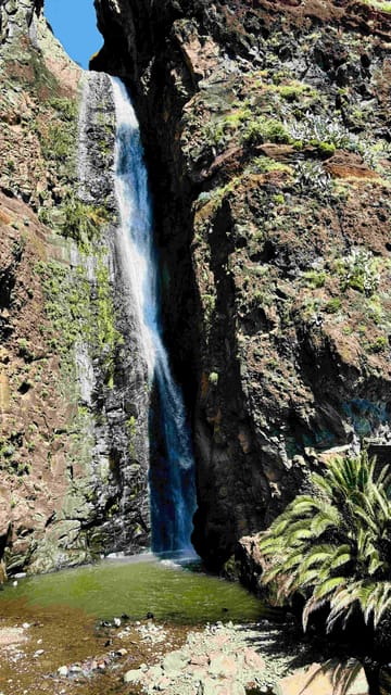 Madeira: Sunny South Side - Cabo Girão, Waterfalls, C. Lobos - Value for $88: What You’re Really Paying For