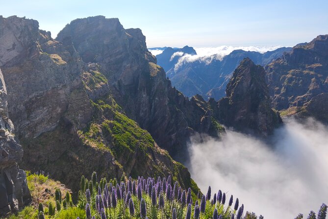 Madeira Sunset at Pico do Arieiro and PR1 Stairway To Heaven - Price and value: what $36.04 buys you (and what to budget on top)