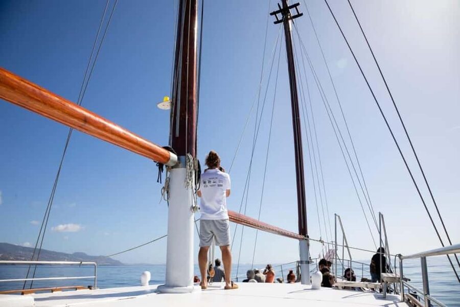 Madeira: Sunset Cruise With a Swim and Drink - Boat comfort and real-world expectations at sea level