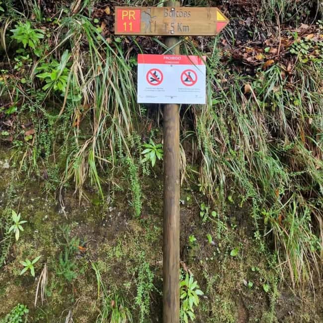 Madeira: Surreal East Experience - The glass skywalk moment: cliffs, footing, and calm safety