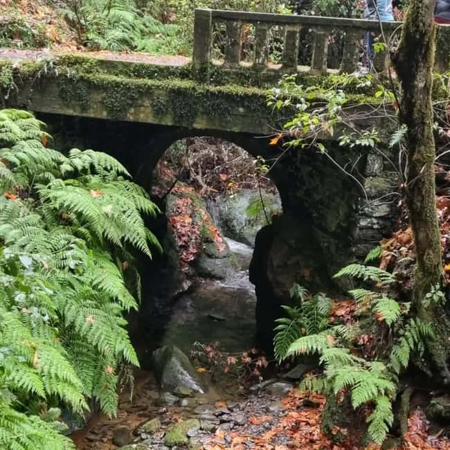 Madeira: Surreal East Experience - Miradouro do Guindaste: a quick viewpoint that pays off