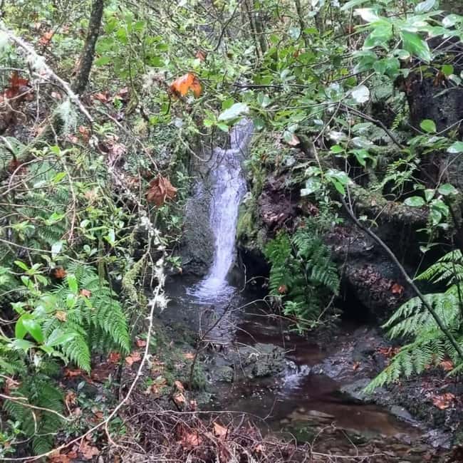 Madeira: Surreal East Experience - Where you start in Funchal (and why it matters)